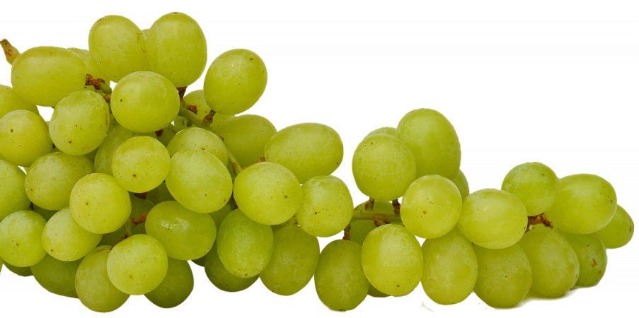 grapes-corsica