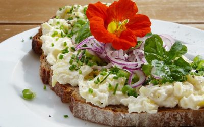 Food écoresponsable: la gastronomie en mode écologique